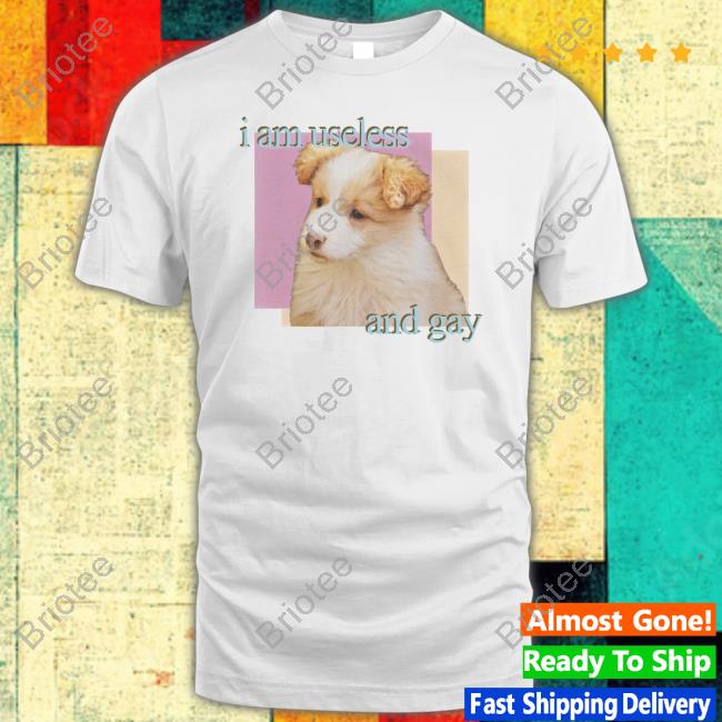 Official Shirts That Go Hard I Am Useless And Gay Tee Shirt Official Shirts That Go Hard I Am Useless And Gay Tee Shirt