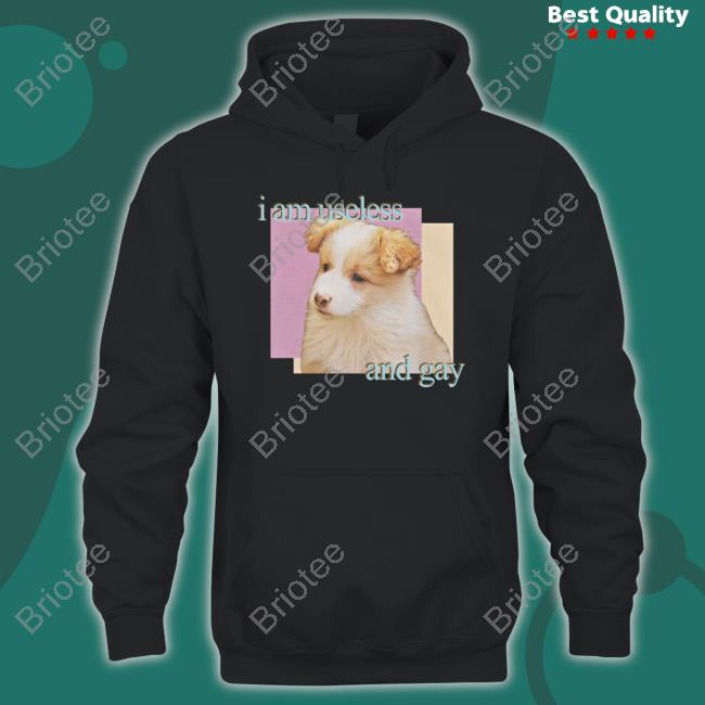 Official Shirts That Go Hard I Am Useless And Gay Tee Shirt Official Shirts That Go Hard I Am Useless And Gay Tee Shirt