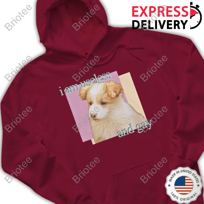 Official Shirts That Go Hard I Am Useless And Gay Tee Shirt Official Shirts That Go Hard I Am Useless And Gay Tee Shirt