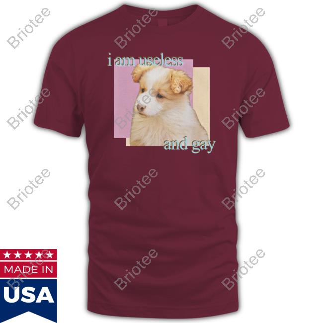Official Shirts That Go Hard I Am Useless And Gay Tee Shirt Official Shirts That Go Hard I Am Useless And Gay Tee Shirt