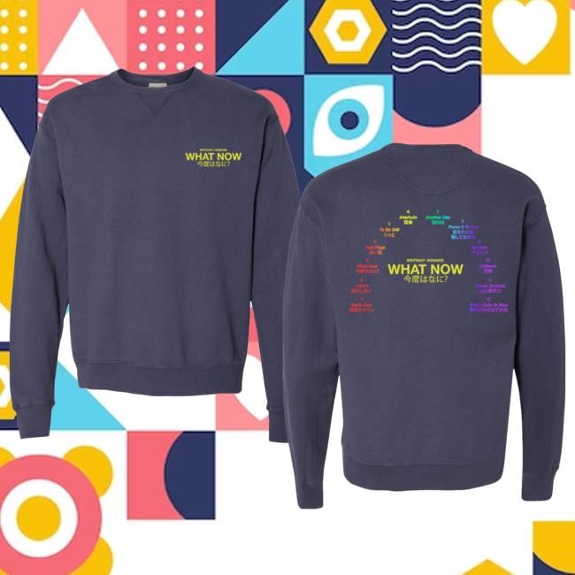 Official Brittany Howard Merch Store What Now Hood