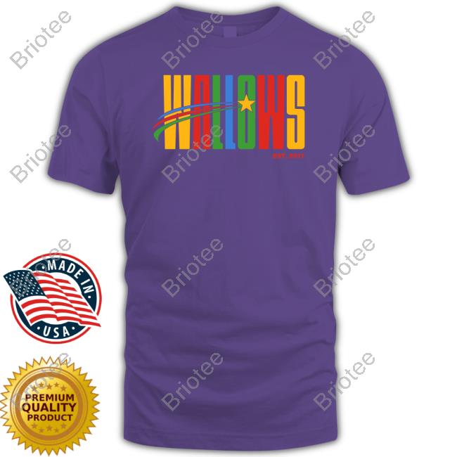 Official Wallows Merch Shooting Star Puff Hoodie