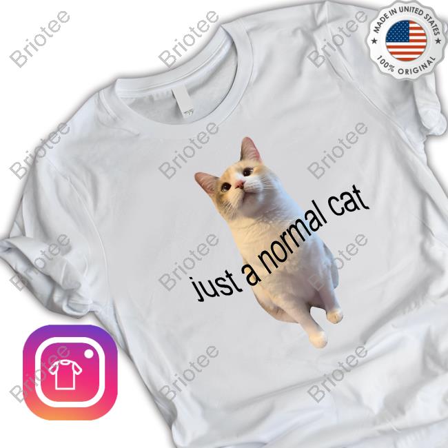 Just A Normal Cat Shirts Panko A Cat’S Mom