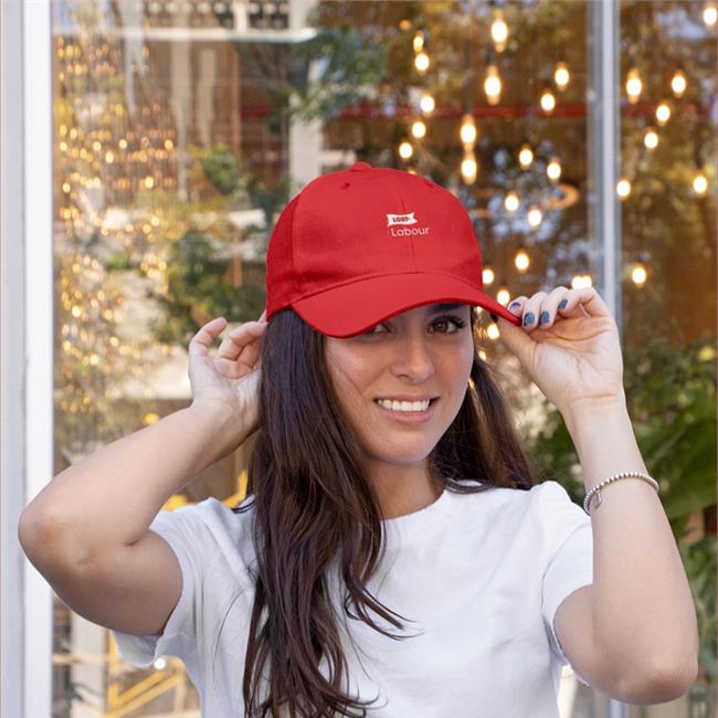 LGBT Labour Tee