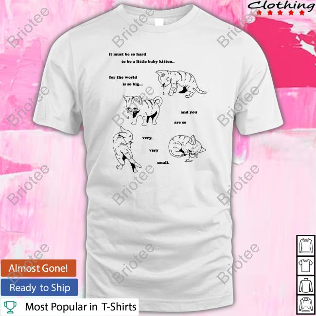 Official It Must Be So Hard To Be A Little Baby Kitten For The World Is So Big And You Are So Very Very Small Tee Shirt