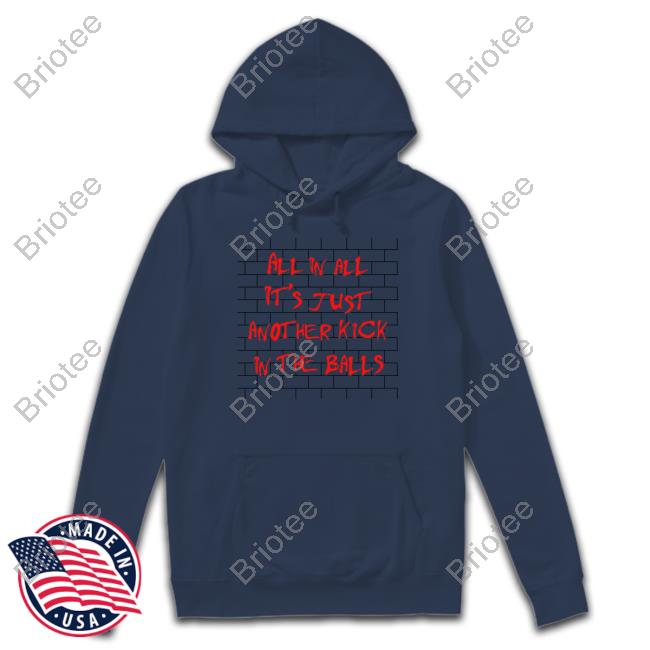 Shirts That Go Hard All In All It's Just Another Kick In The Balls Hooded Sweatshirt Thegoodshirts