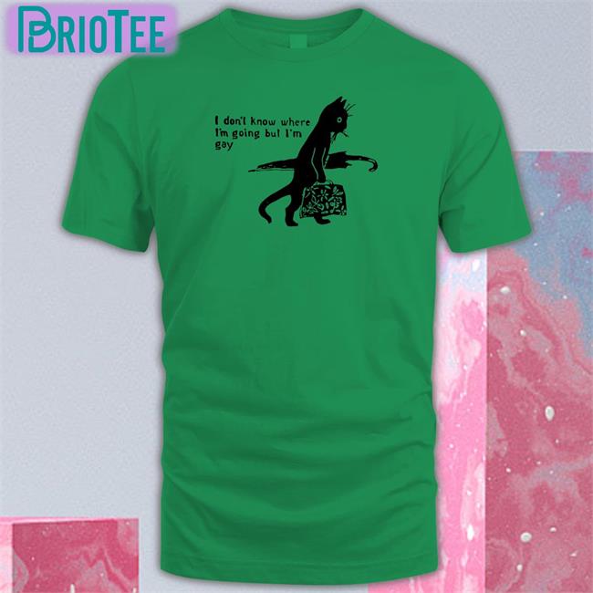 Shirts That Go Hard I Don’T Know Where I’M Going But I’M Gay Hooded Sweatshirt Shirtsthtgohard
