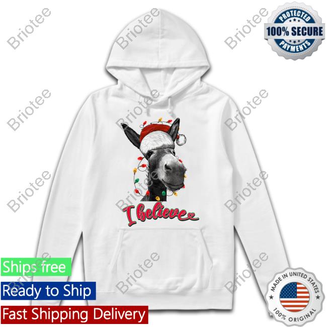 Official Arms Family Homestead Christmas I Believe Sweatshirt
