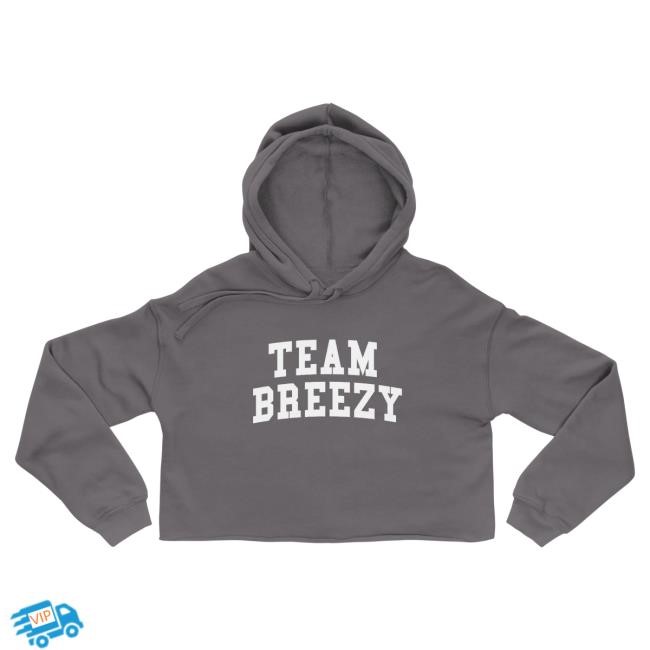 Official Chris Brown TEAM BREEZY ARCH CROP Hood Storm ChrisBrown