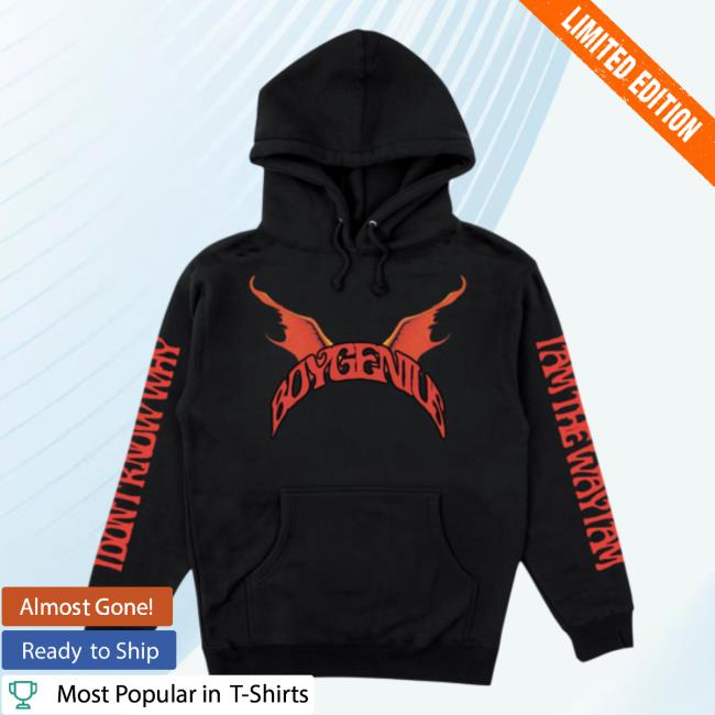 Boygenius Store Demon Hoody