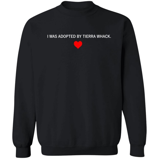 Tierra Whack Merch Adoption Hoodie Tierra Whack Merch Adoption Hoodie