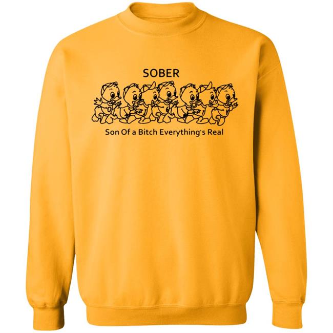 Sober Son Of A Bitch Everything Shirt Sober Son Of A Bitch Everything Shirt