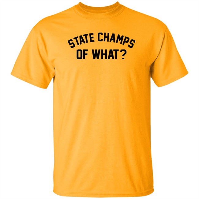 State Champs Of What Shirt Of What State Champs Grey T Shirt State Champs Of What Shirt Of What State Champs Grey T Shirt