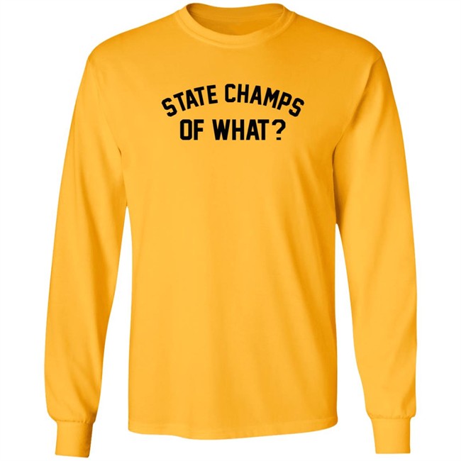 State Champs Of What Shirt Of What State Champs Grey T Shirt State Champs Of What Shirt Of What State Champs Grey T Shirt