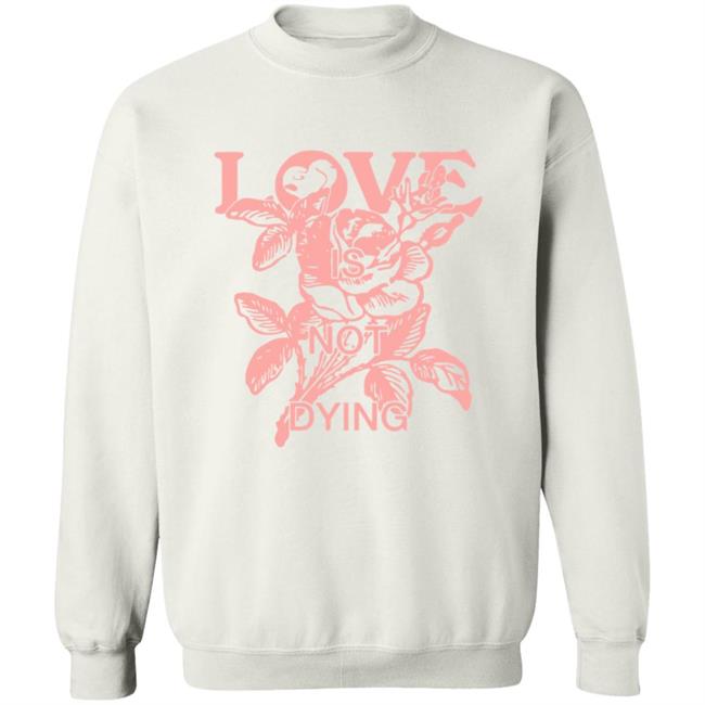Love Is Not Dying Tee Jeremy Zucker Merch Love Is Not Dying Tee Jeremy Zucker Merch