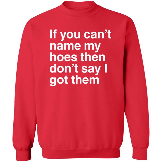 If You Can't Name My Hoes Then Don't Say I Got Them Shirt Hoodville If You Can't Name My Hoes Then Don't Say I Got Them Shirt Hoodville