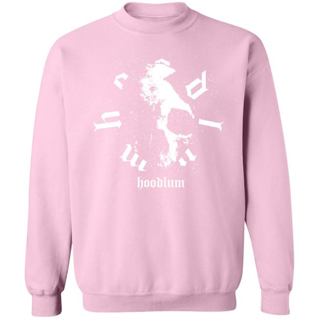 Hoodlum Merch Shop Pink Skull Shirt Darby Allin Hoodlum Merch Shop Pink Skull Shirt Darby Allin