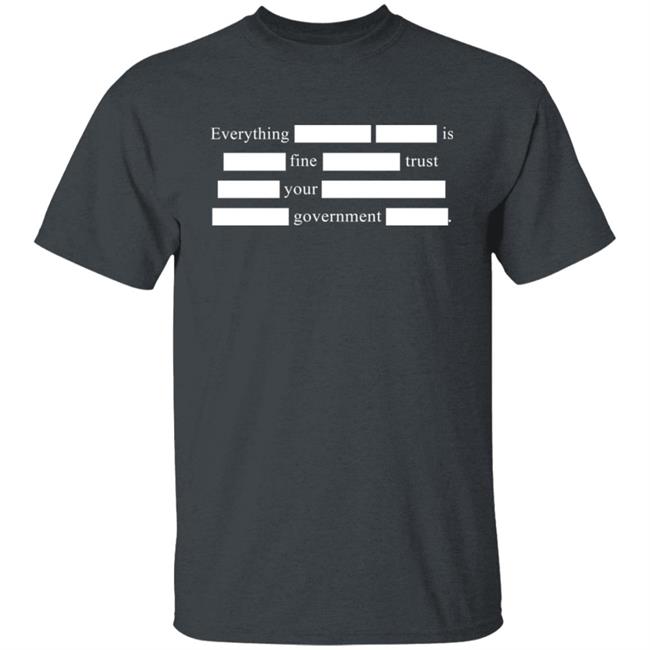 Notsweetdeesez Sweet Dees Tees Merch Everything Is Fine Trust Your Government T Shirt