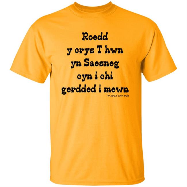 Craig Allman Roedd Y Crys T Hwn Yn Saesneg Cyn I Ti Gerdded I Mewn Erin Pyle Shirt