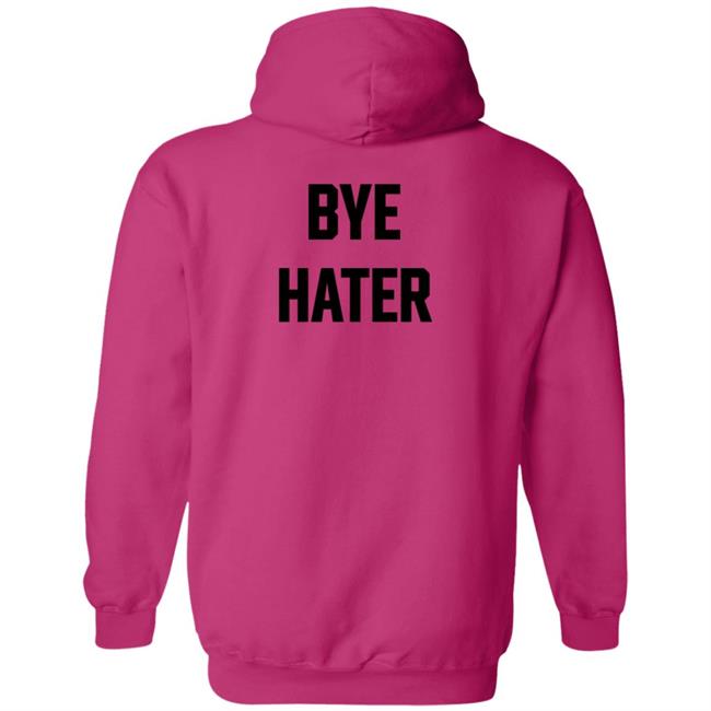Hi Hater Bye Hater T Shirt Funny Haters Meme Shirt Hi Hater Bye Hater T Shirt Funny Haters Meme Shirt