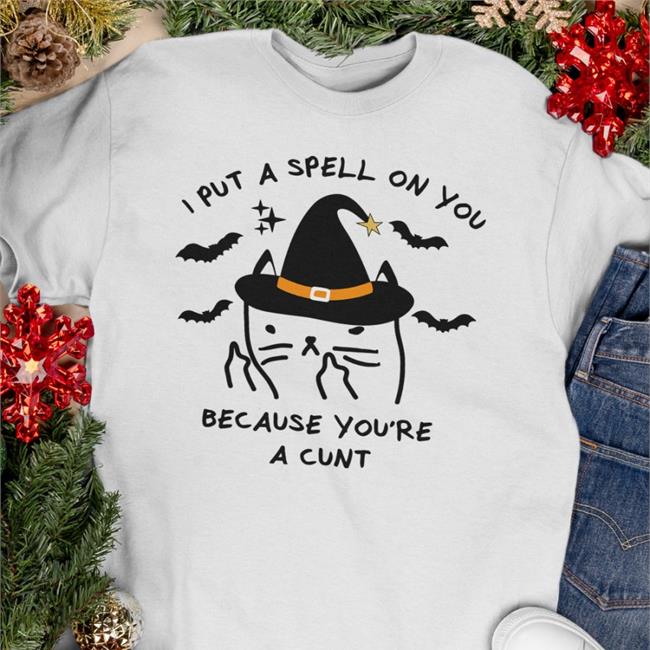 I Put A Spell On You Because You're A Cunt Hoodie