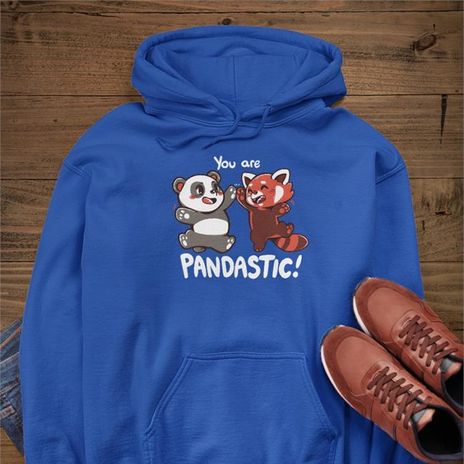You Are Pandastic Hooded Sweatshirt