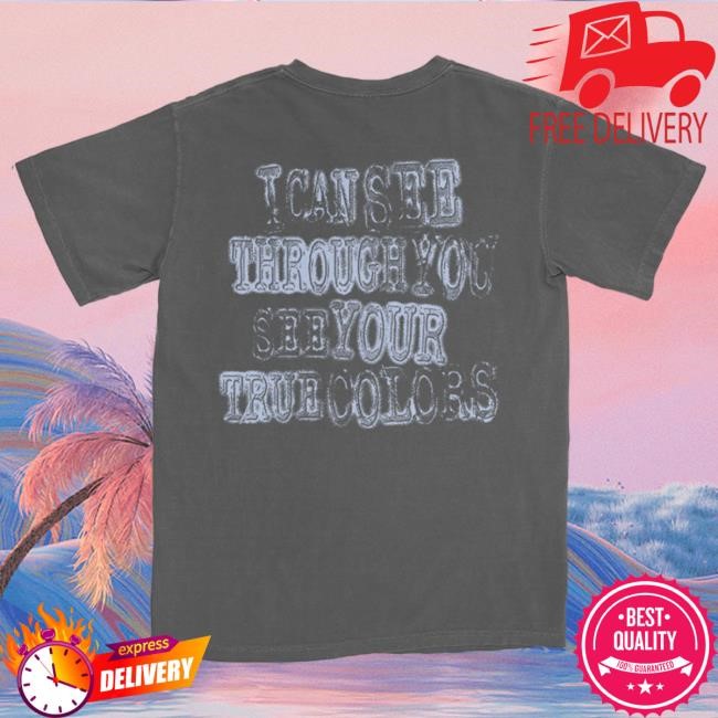 Staind Merch True Colors New T-Shirt Staind Band Shop