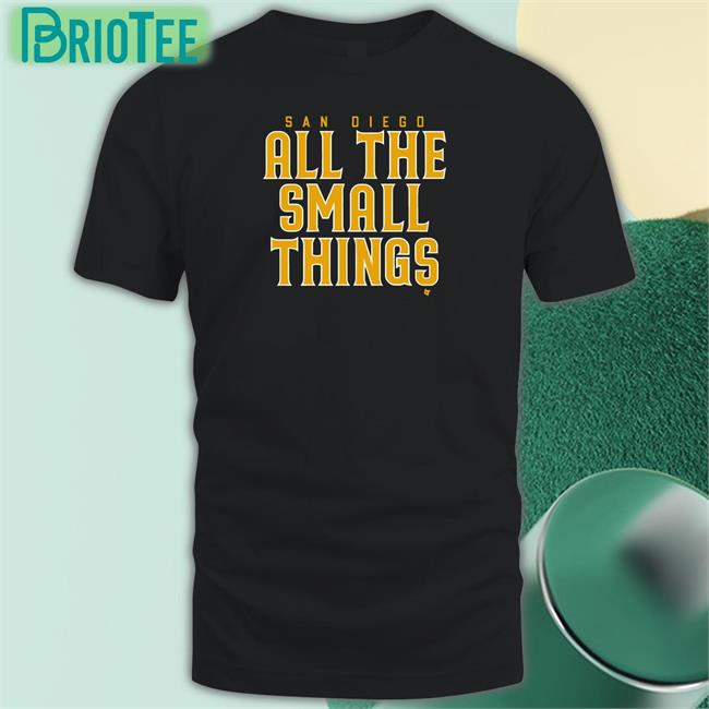 San Diego All The Small Things Hoodie