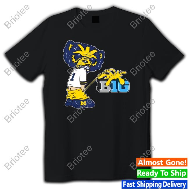 Official Mi Big 10 Cap