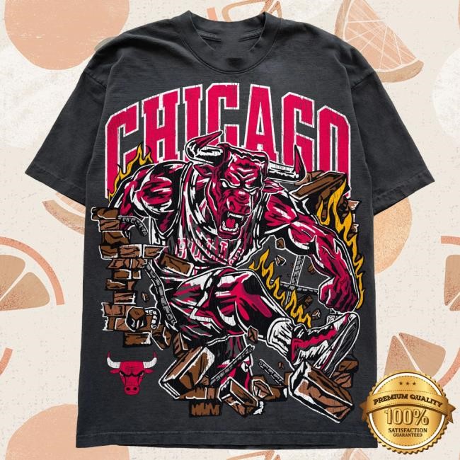 Official Chicago Bulls Clothing Warren Lotas x Chicago Bulls Raging Bull Tee ChicagoBulls